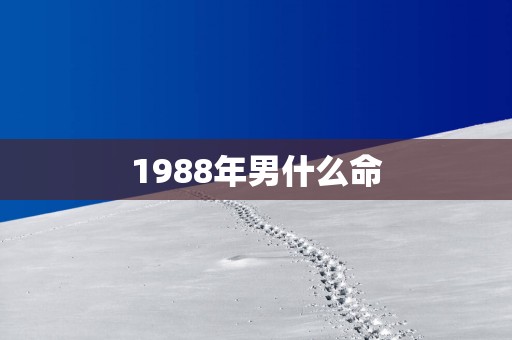 1988年男什么命