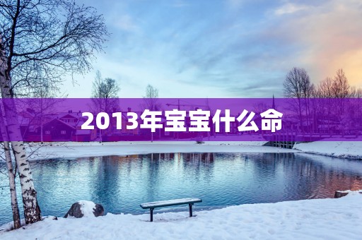 2013年宝宝什么命