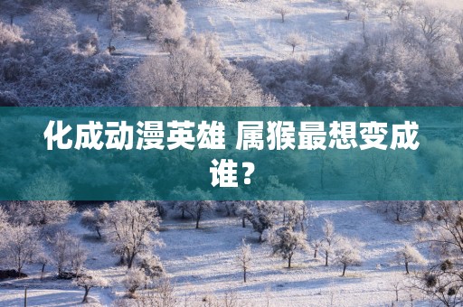 化成动漫英雄 属猴最想变成谁？