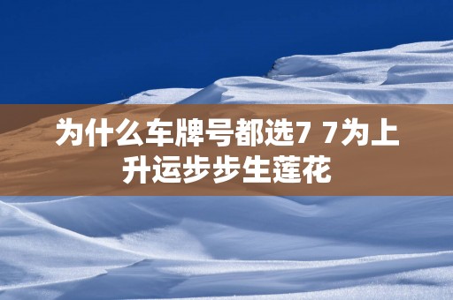 为什么车牌号都选7 7为上升运步步生莲花