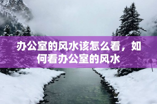 办公室的风水该怎么看，如何看办公室的风水