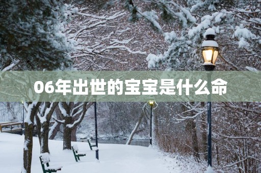 06年出世的宝宝是什么命
