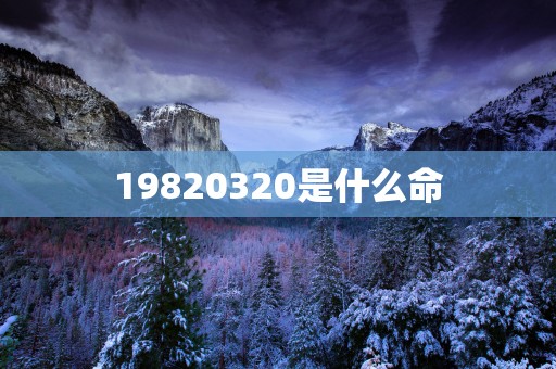 19820320是什么命