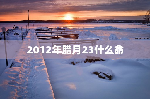 2012年腊月23什么命