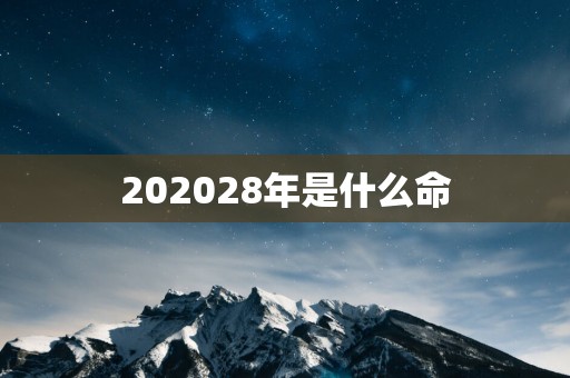 202628年是什么命