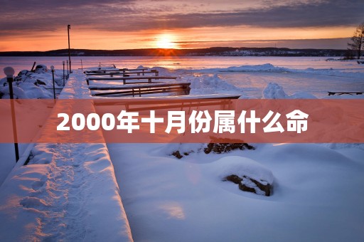 2000年十月份属什么命
