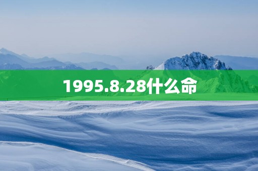 1995.8.28什么命