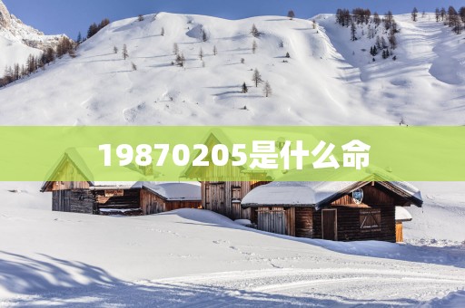 19870205是什么命