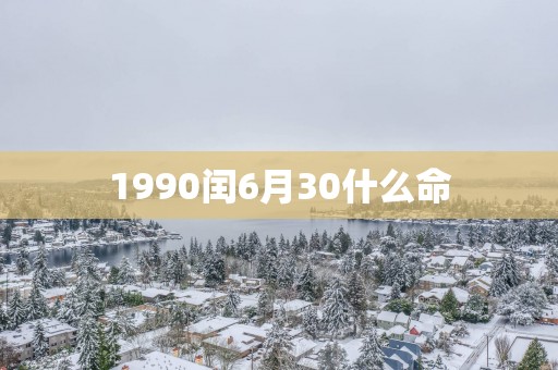 1990闰6月30什么命