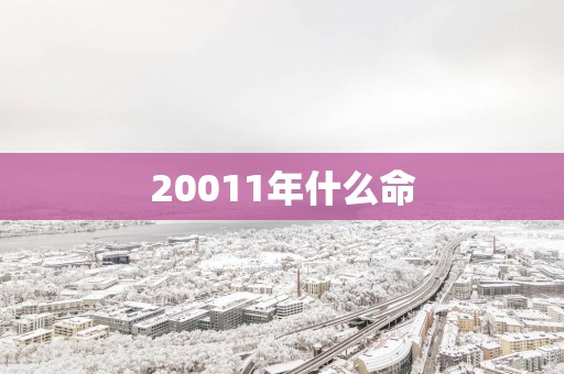 20011年什么命