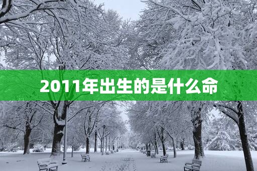 2011年出生的是什么命