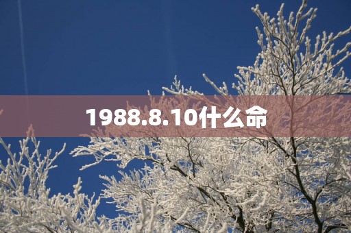 1988.8.10什么命
