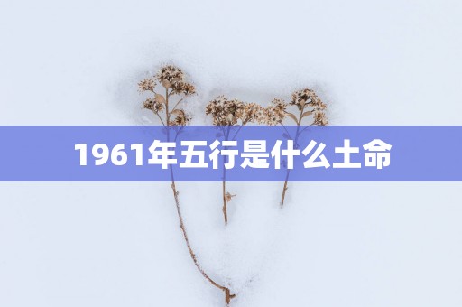1961年五行是什么土命
