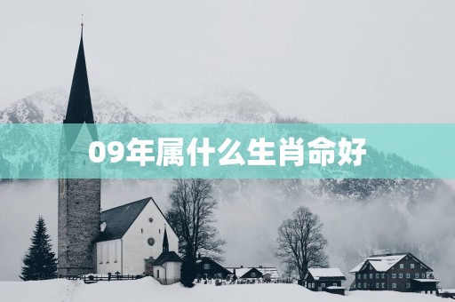09年属什么生肖命好
