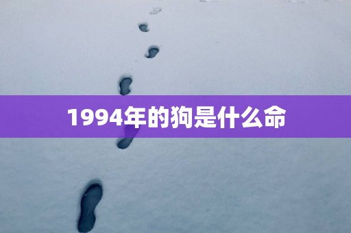 1994年的狗是什么命
