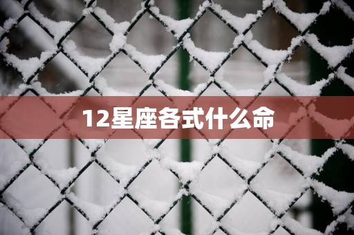 12星座各式什么命
