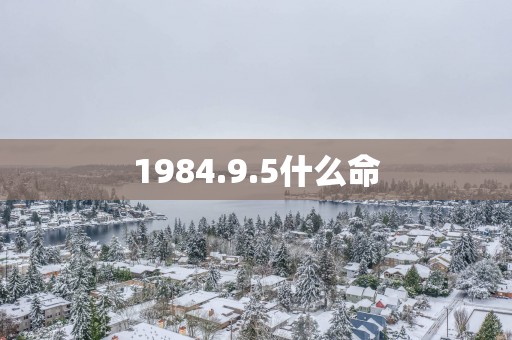 1984.9.5什么命