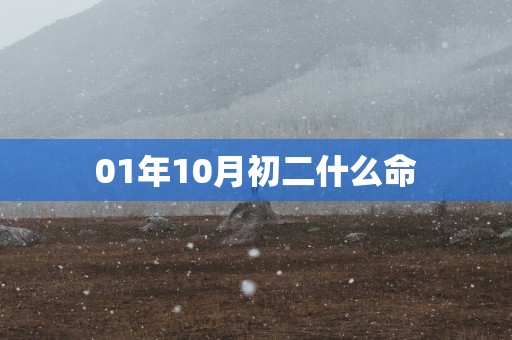 01年10月初二什么命