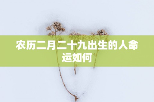 农历二月二十九出生的人命运如何