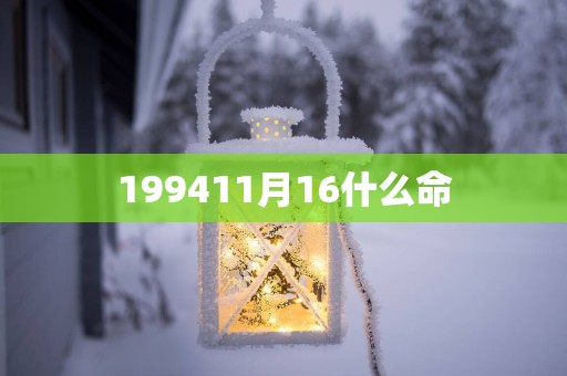 199411月16什么命