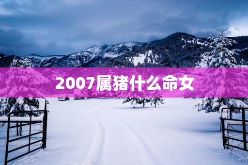 2007属猪什么命女