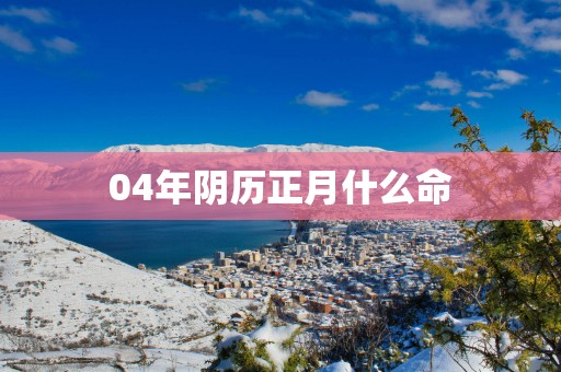 04年阴历正月什么命