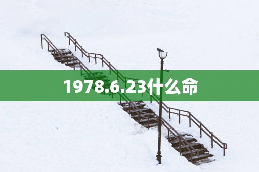 1978.6.23什么命