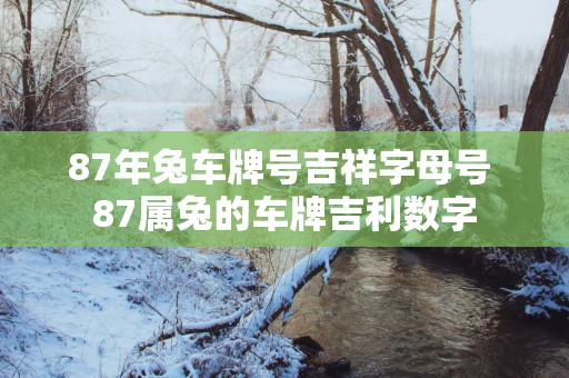 87年兔车牌号吉祥字母号 87属兔的车牌吉利数字