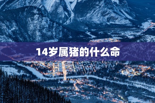 14岁属猪的什么命 14岁属猪的什么命