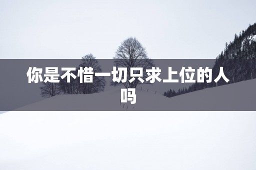 你是不惜一切只求上位的人吗