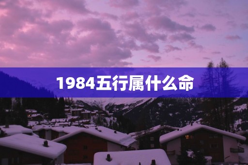 1984五行属什么命