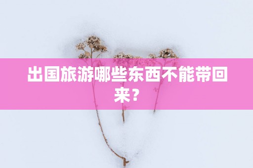出国旅游哪些东西不能带回来？