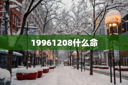 19961208什么命