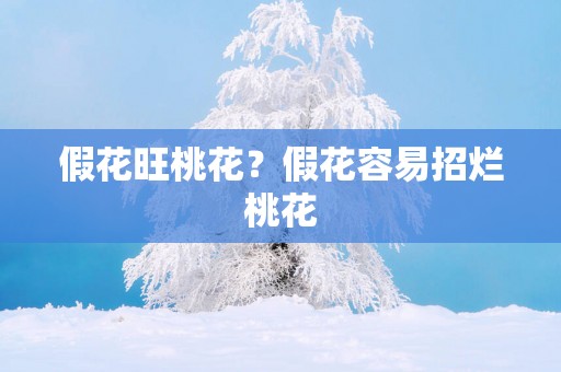 假花旺桃花？假花容易招烂桃花