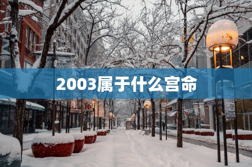 2003属于什么宫命