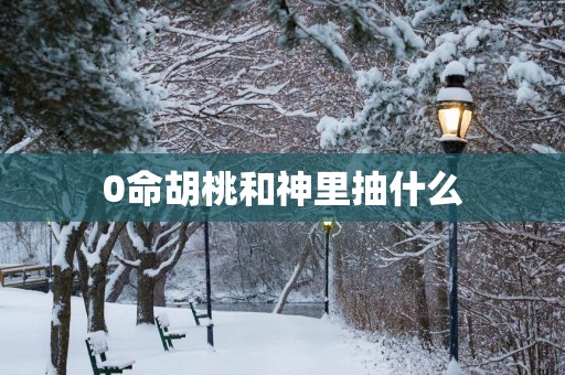 0命胡桃和神里抽什么