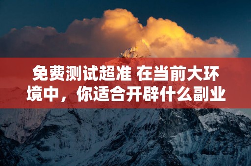 免费测试超准 在当前大环境中，你适合开辟什么副业，才能有偏财运呢？