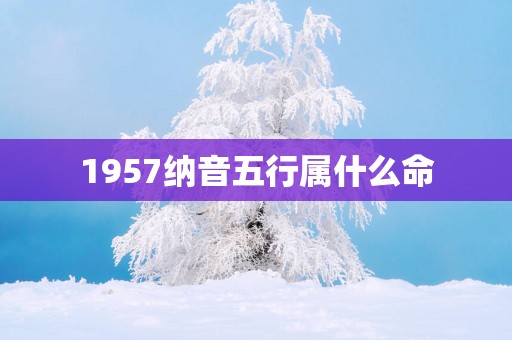 1957纳音五行属什么命