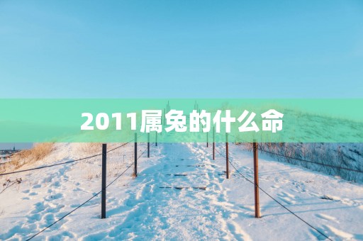 2011属兔的什么命