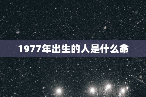 1977年出生的人是什么命
