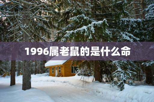 1996属老鼠的是什么命