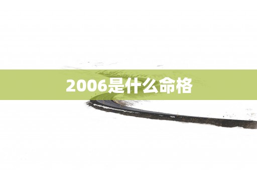 2006是什么命格