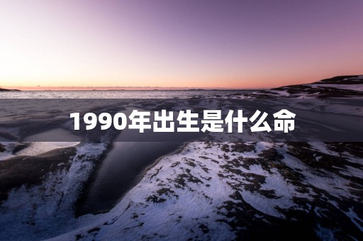 1990年出生是什么命