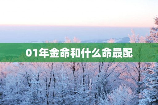 01年金命和什么命最配
