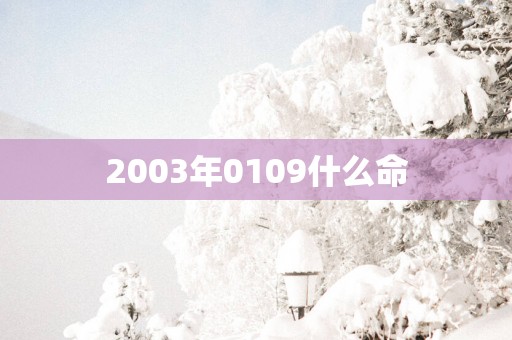 2003年0109什么命