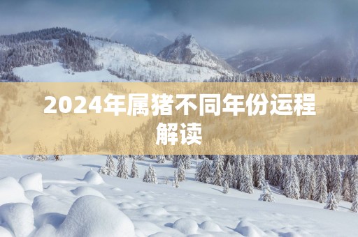 2025年属猪不同年份运程解读