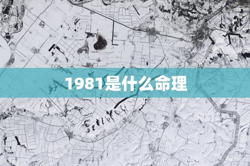 1981是什么命理