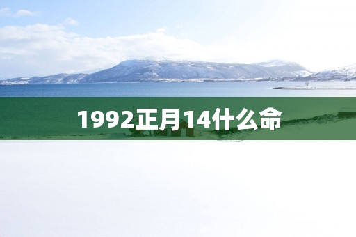 1992正月14什么命