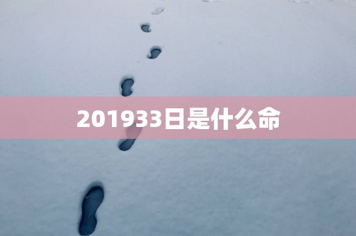 201933日是什么命