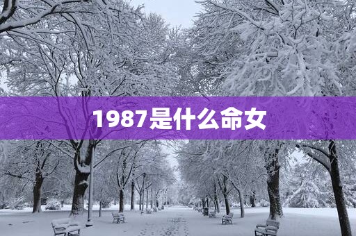 1987是什么命女